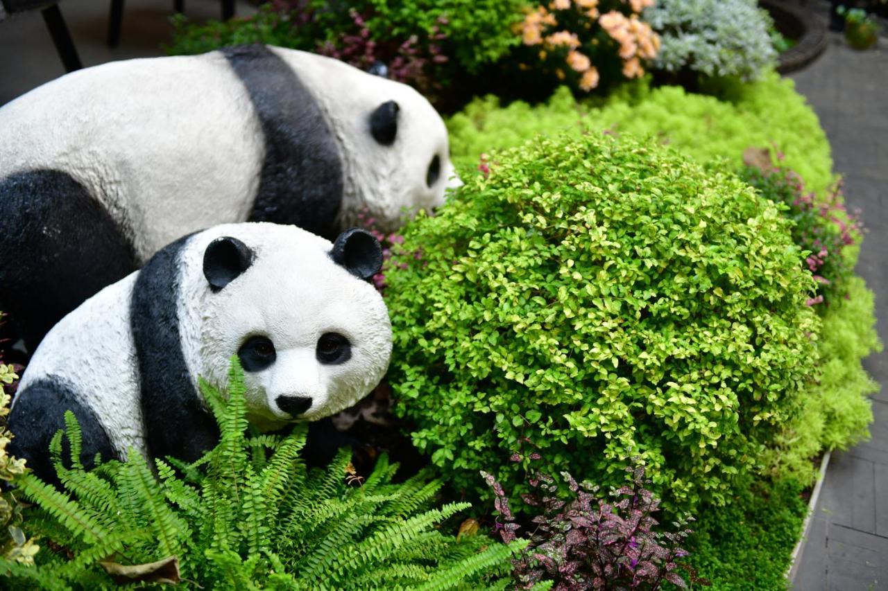 Xishu Garden Inn - Travel Agency Service - Car Rent Service - English Speaking Chengdu Exterior foto